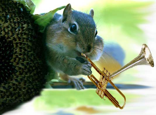 Squirrel with trumpet