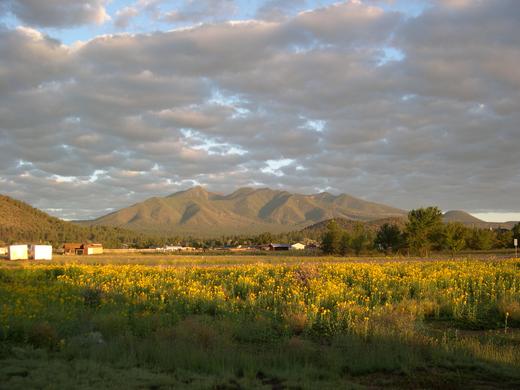 San Francisco 
Peaks at sunrise